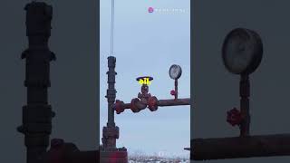 Black Gold Rush: Unveiling Oil Extraction!🔥😱🥶