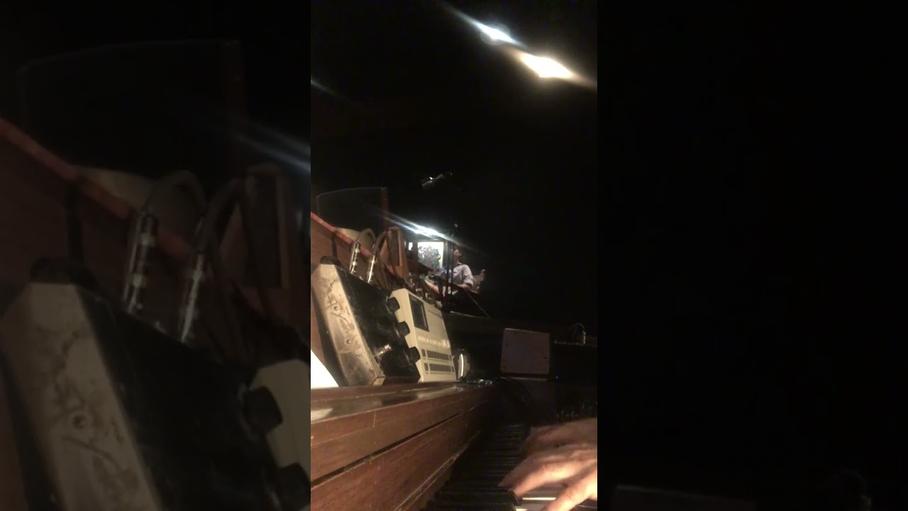 Dan Patrevito - Peter Rabbit Polka Future Landscape Rehearsal