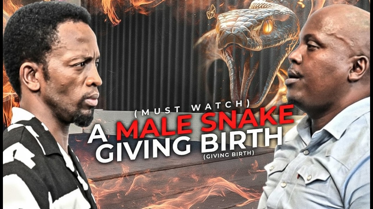 A MALE SNAKE GAVE BIRTH TO A SON SNAKE