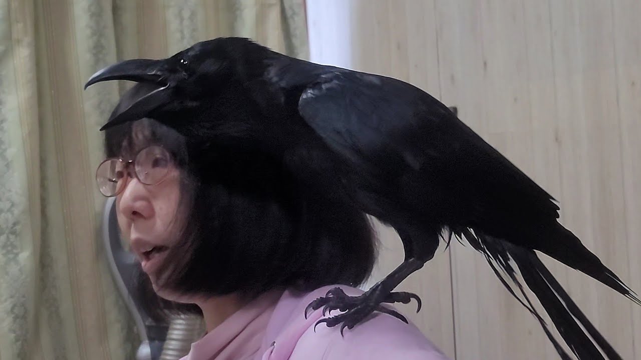 ママがカラスが食べられる物の話をする裏側