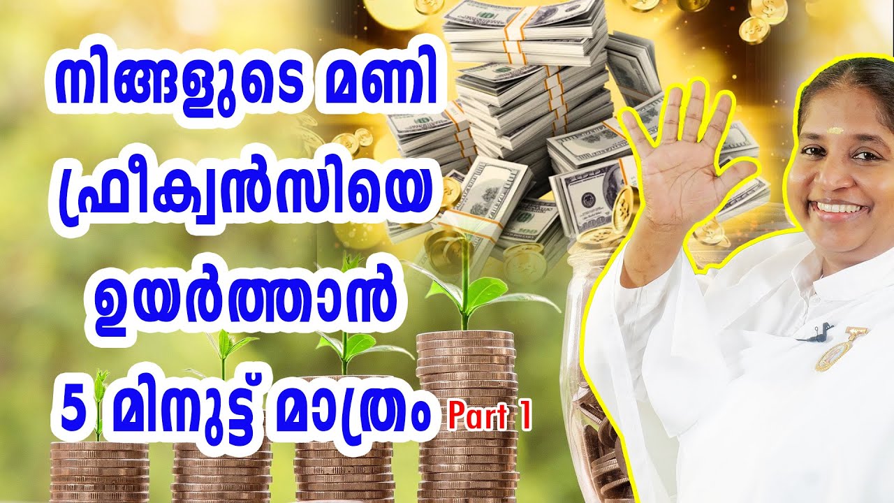 It Only Takes 5 Minutes To Raise Your Money Frequency | Part 1 | BK Sheeba