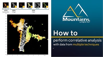 How to perform correlative analysis with data from multiple techniques with Mountains®