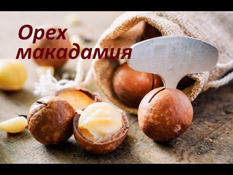 Орех макадамия