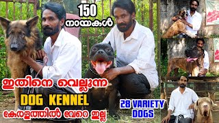 150ൽ അധികം നായകളുടെ റെക്കോർഡ് കളക്ഷനുമായി Kaniyath kennels|Biggest Dog kennels in kerala