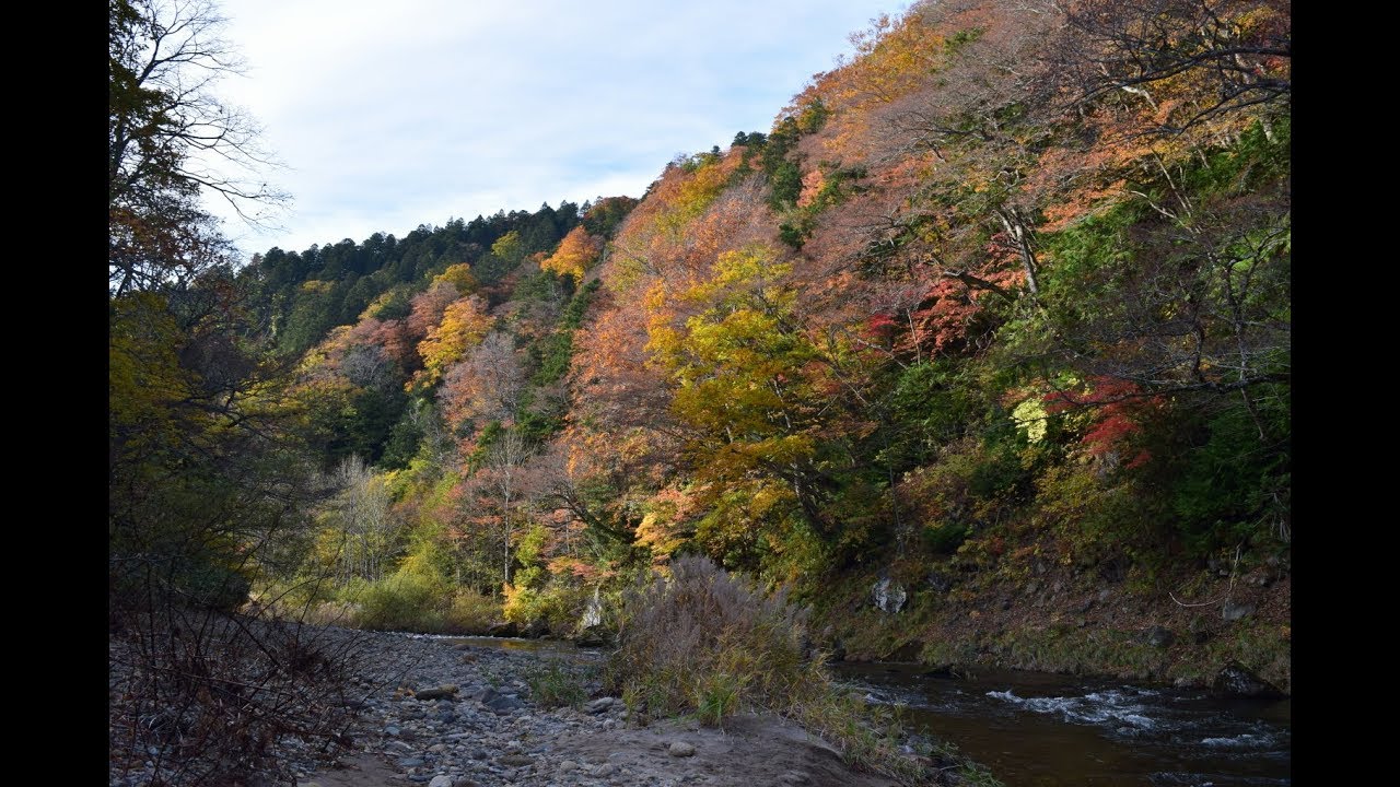晩秋の薬研渓流 散策 Youtube
