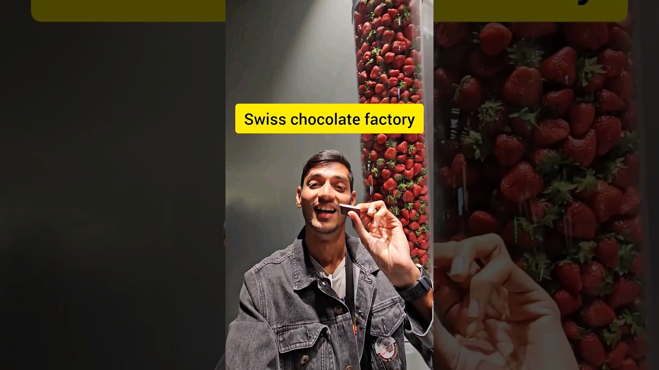 Swiss chocolate factory 🍫🤤 