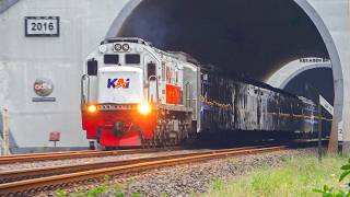 KERETA API PANJANG‼️ MENEMUKAN 24 KERETA API MELINTAS DI TIKUNGAN BESAR DAN TEROWONGAN