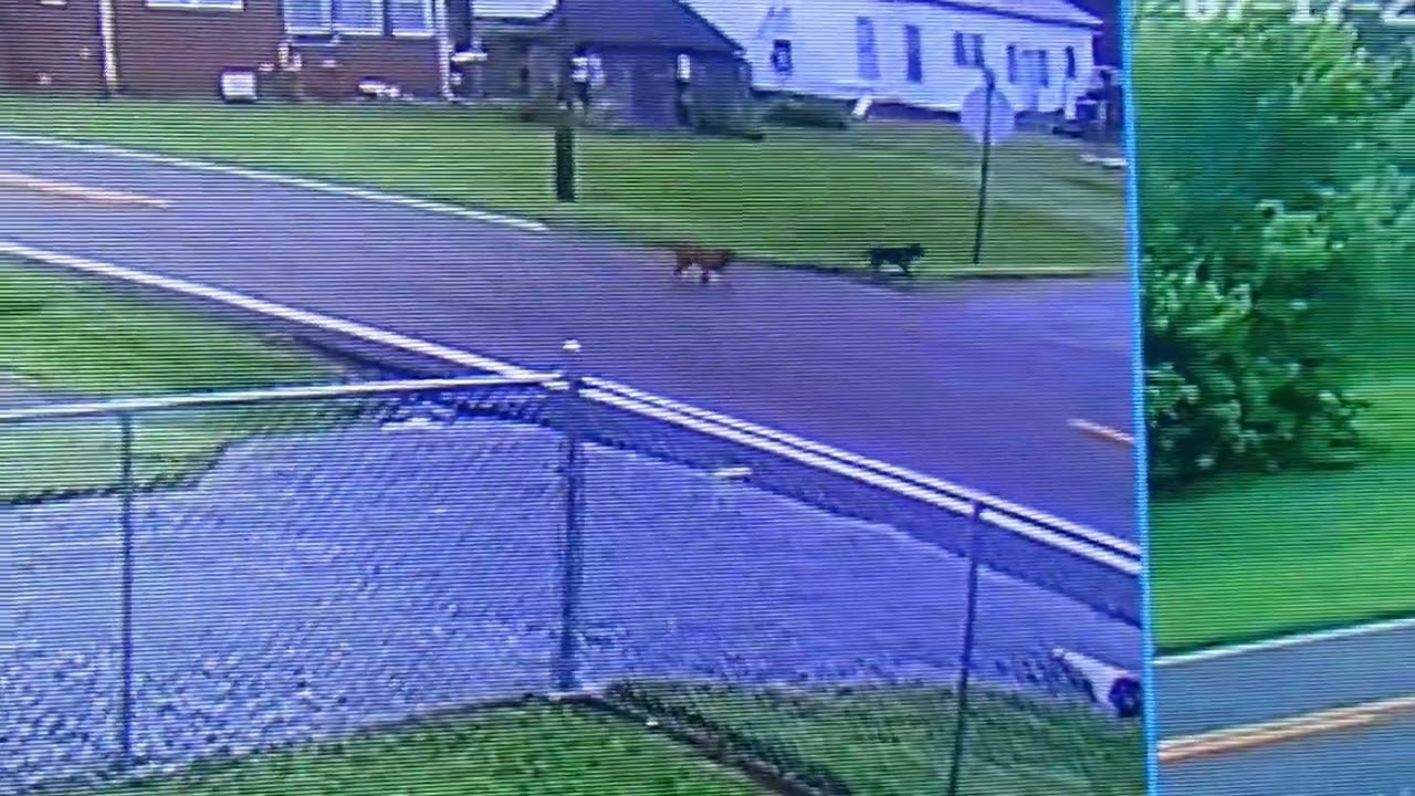 Speeding semis shake the ground: Graves County Sheriff 