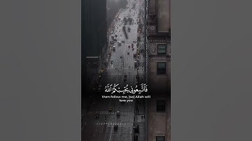 #القرآن_الكريم #quran #سورة_آل_عمران