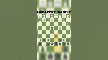 Chess : Budapest Gambit : fajarowicz Variation🔥#chess #checkmate #chesstrap  #queentrap #chessmaster