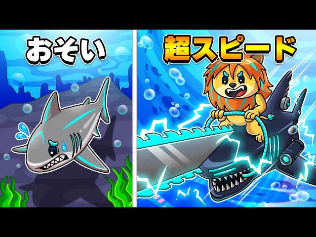 みそきんブームの波に乗るサメ 71obruYMmZL._UF350,350_QL50_.jpg