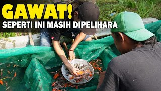 PEMULA HARUS BELAJAR BILA TIDAK MAU RUGI UANG, WAKTU DAN TEMPAT