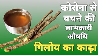 गिलोय का काढ़ा कैसे बनाएं बाबा रामदेव | Immunity power kaise badhaye | Tisoo Kitchen