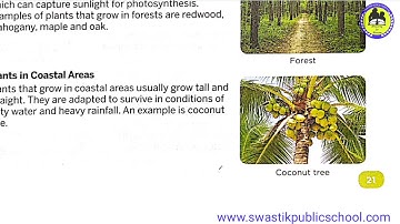 Class 4th Ch-2 by Anuj Yadav Sir