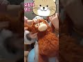 오랑이 댄스