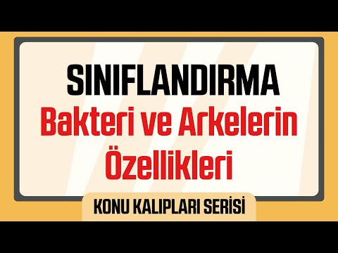 Canlıların Sınıflandırılması : Bakteri ve Arkelerin Genel Özellikleri