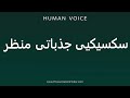How To Pronounce Sexy Emotional Scene How To Pronounce Sexy Emotional Scene