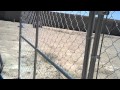 Chicken coop upgrade Chicken coop upgrade