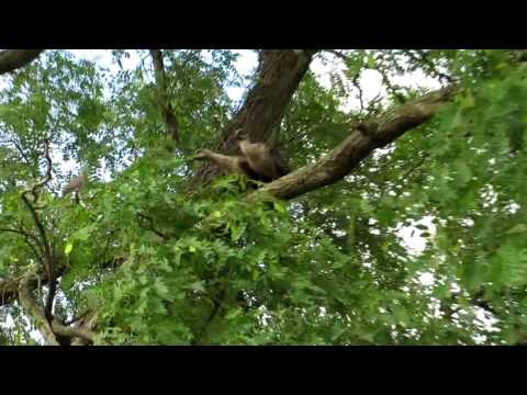 HaDiDa's Nesting + Making Love 20130104
