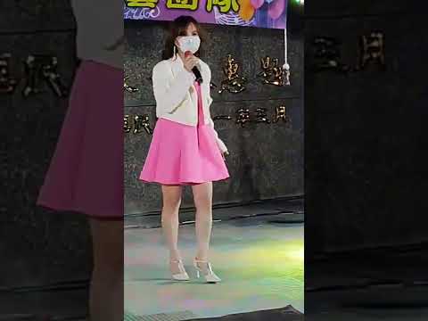 嘉義街頭藝人 小潔《雙雙飛》原唱 張蓉蓉2022 11 04