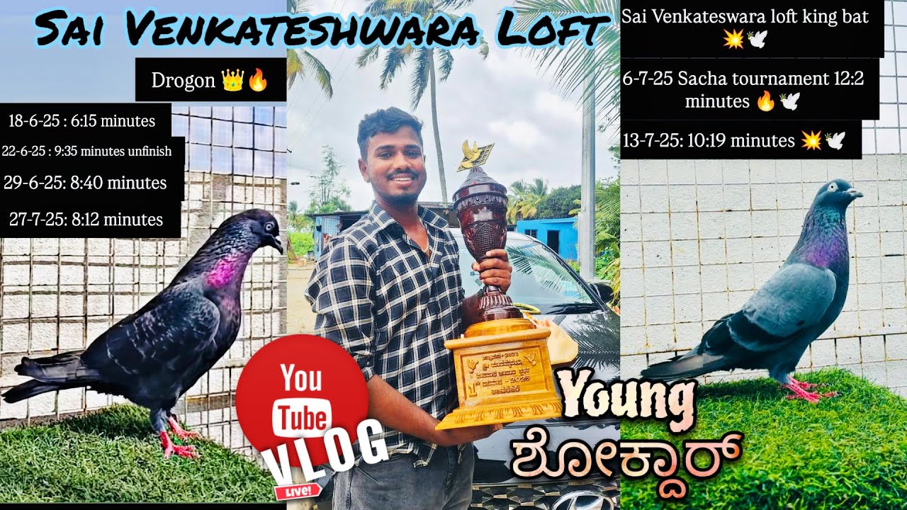 Sai Venkateshwara Loft 2025 | Tournament top time 12: 02 minutes | Real Life Shokdar