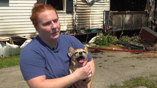 Hampden woman reunites with missing dog after fire