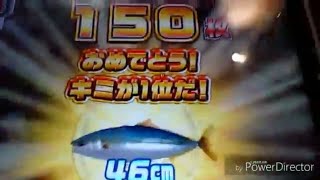 【メダルゲーム釣りスピリッツ】釣り大会ブリで優勝w screenshot 5