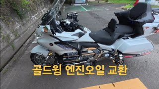 골드윙 엔진오일 교환#혼다#자가정비#오일필터#DCT필터#드레인볼트#토크값