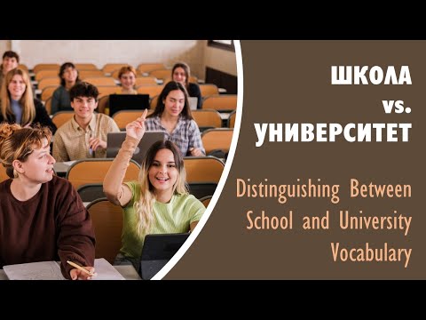 Basic Russian 1️⃣: Школа vs. Университет. Distinguishing Between School and University Vocabulary