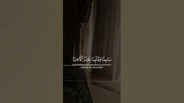 أَمَّن هُوَ قانِتٌ آناءَ اللَّيلِ ساجِدًا وَقائِمًا #تلاوات #قرآن #قران_كريم #quran #صالح_الانصاري