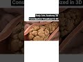Illustration of stool constipation| Gut Health | Body Arts Anatomy 3D
