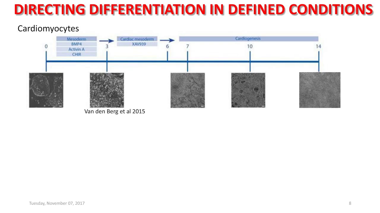 Human pluripotent stem cells in understanding genetic cardiovascular ...