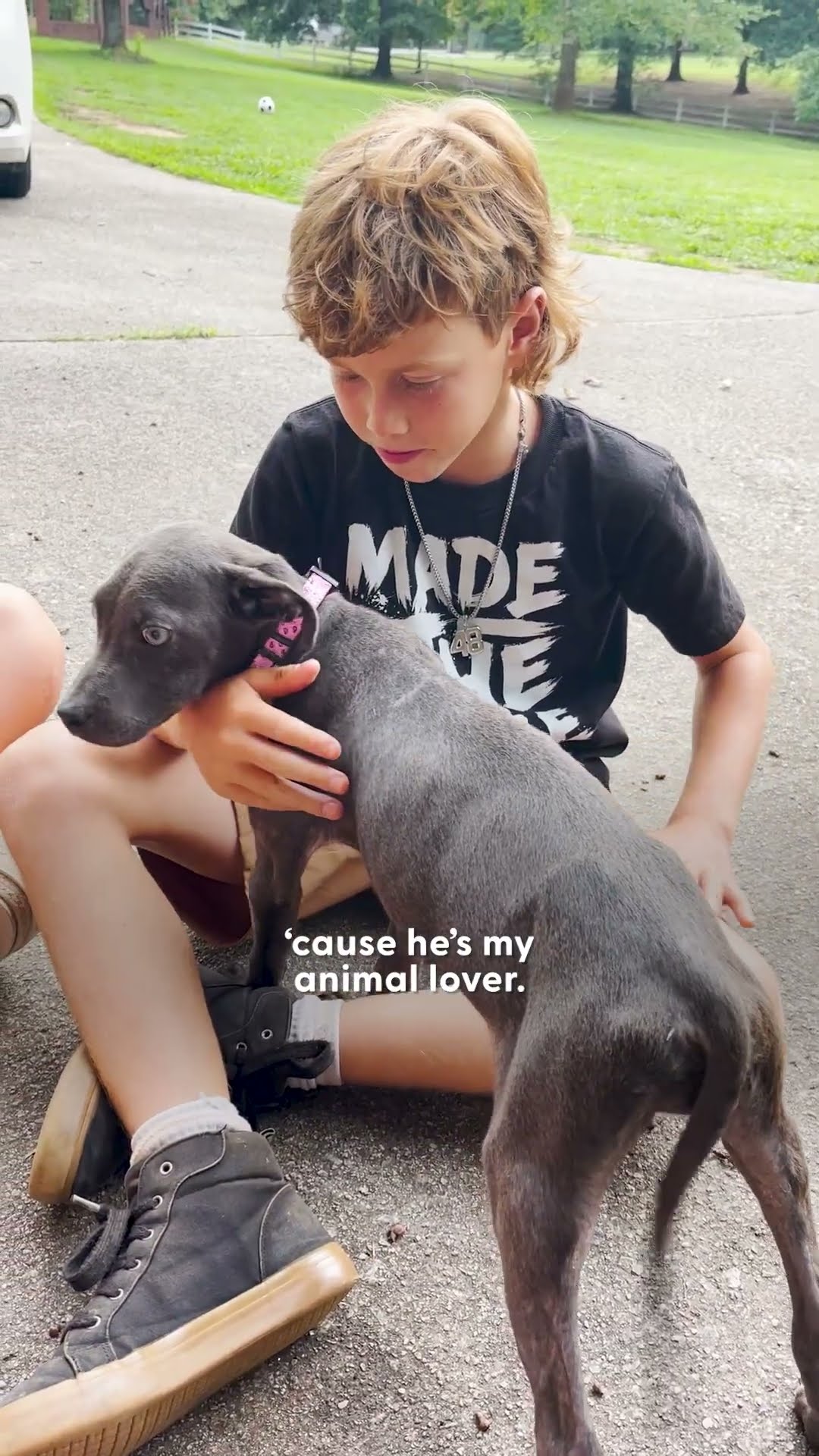 Boy Begs His Mom To Keep The Dog They Rescued From The Street | The Dodo