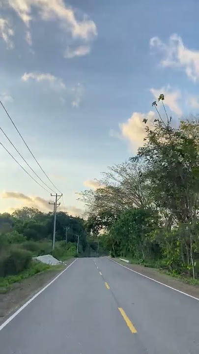 lagu Rote viral I'm not sure what to do.