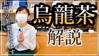 【烏龍茶】3分でわかる！中国茶の専門家が解説します