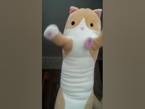 Кот сосиска😼 - YouTube
