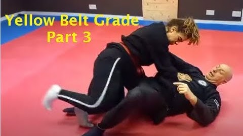 Yellow Belt (9th Kyu) Ground pin defence, version one