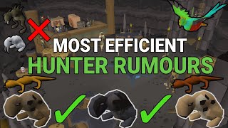 Most Efficient Hunters' Rumours Easy Guide