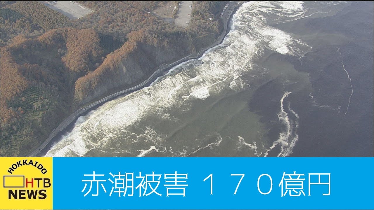 北海道の赤潮被害１７０億円に拡大する可能性が ウニだけでなくツブ タコ ナマコも Youtube