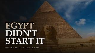 Egypt Didn't Start It | Desert & River
