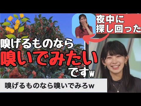 【檜山沙耶・魚住茉由】金木犀の香りを嗅げるものなら嗅いでみたいと言うさやっち‼️そして先日、夜の暗い中ずーと金木犀を探していたまゆち⁉️ 2023.10.21