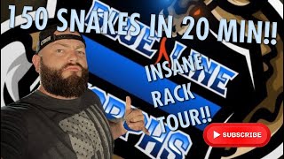 Famous 150 SNAKES IN UNDER 20 MIN!! ||  INSANE RACK TOUR! Profile