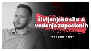 Življenjska sila, ljubezen in vodenje zaposlenih (Gregor Kosi) - AIDEA Podkast 117