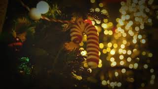 Candy Cane Janes 2021