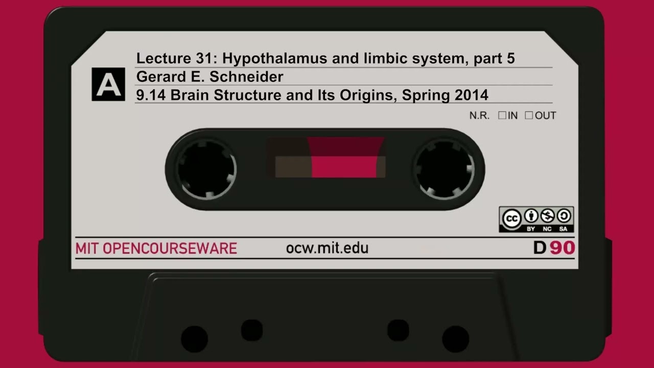 31. Hypothalamus and limbic system, part 5
