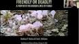 The Fascinating World of Mushrooms: A Fungal Odyssey ile ilgili video