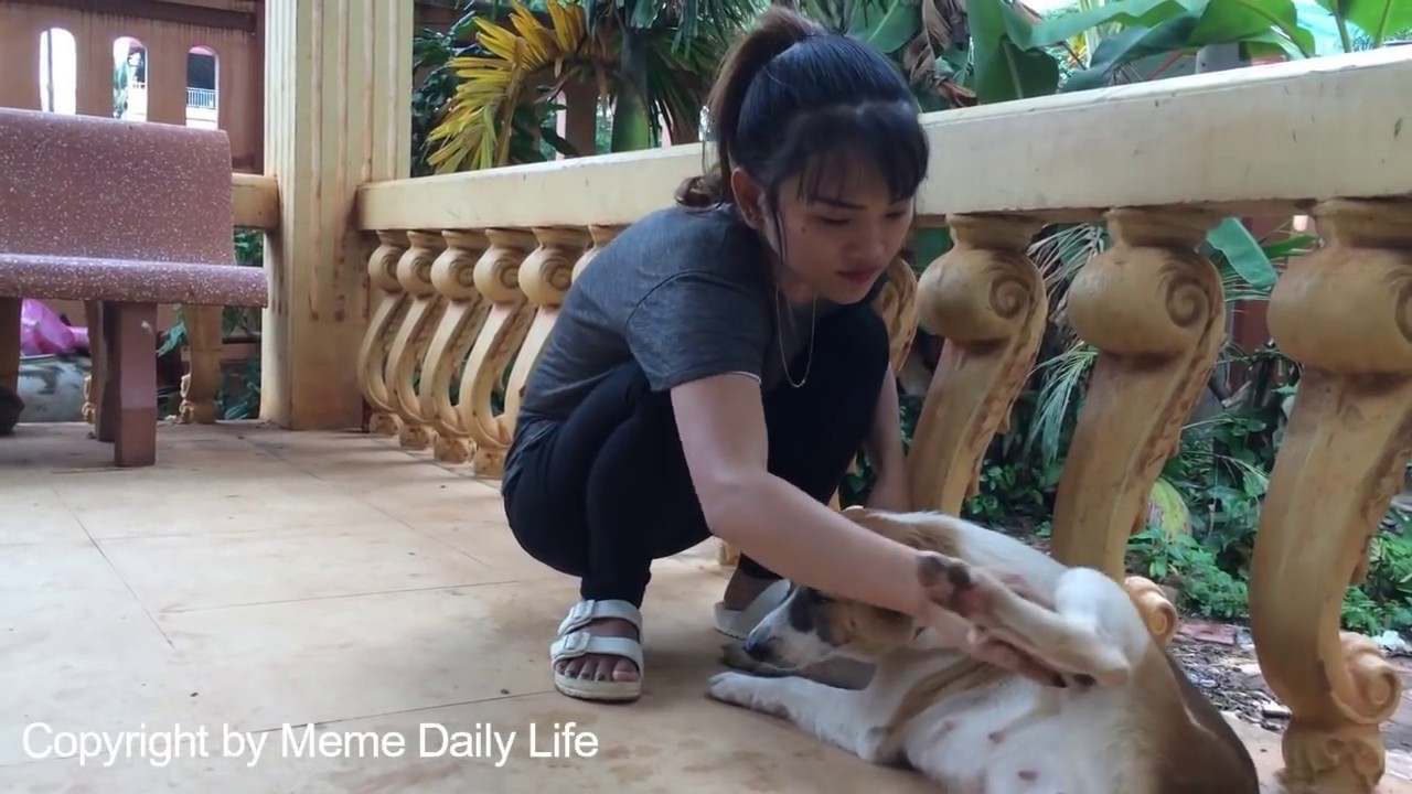 Smart Dog Playing With Cute Girl At Home - How to play with Smart dog (Part9)