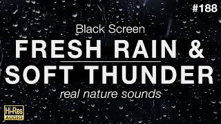FRESH RAIN and SOFT THUNDER Sounds for Sleeping BLACK SCREEN screenshot 4
