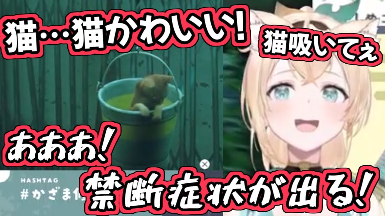 【STRAY】猫が好きすぎて、猫のゲームで発狂しまくる風真いろは【ホロライブ切り抜き】