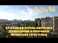 КРАСИВАЯ ОСЕНЬ / БЕЛОЧКА / ДОМАШНИЕ БЛИНЧИКИ / ВЕЧЕРНЯЯ ПРОГУЛКА